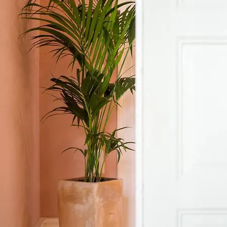 Maria-syros 3*