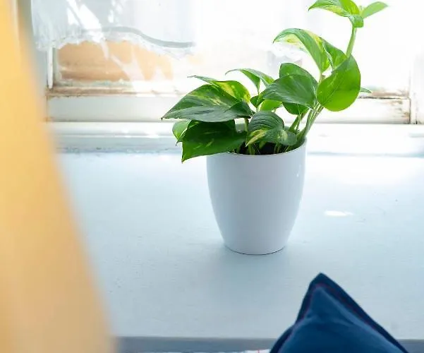 Pensionat Maria-syros Ermoupoli